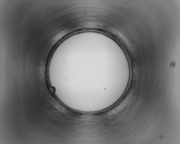 X0000102371065200808291243