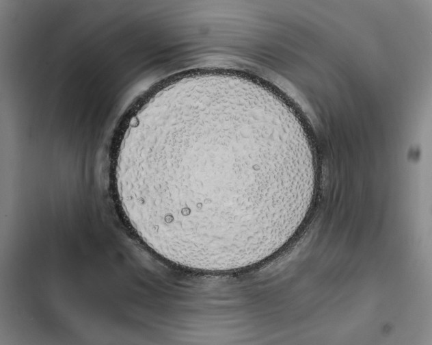 X0000102371067200808291243