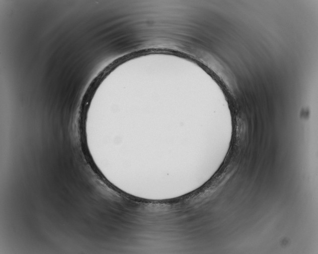 X0000102371068200808291243