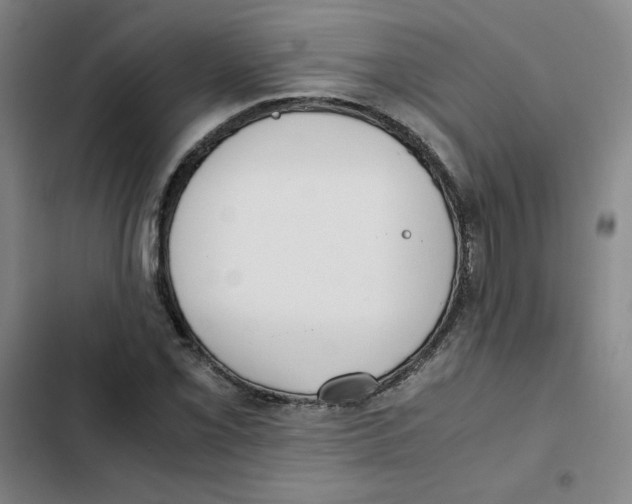 X0000102371069200808291243