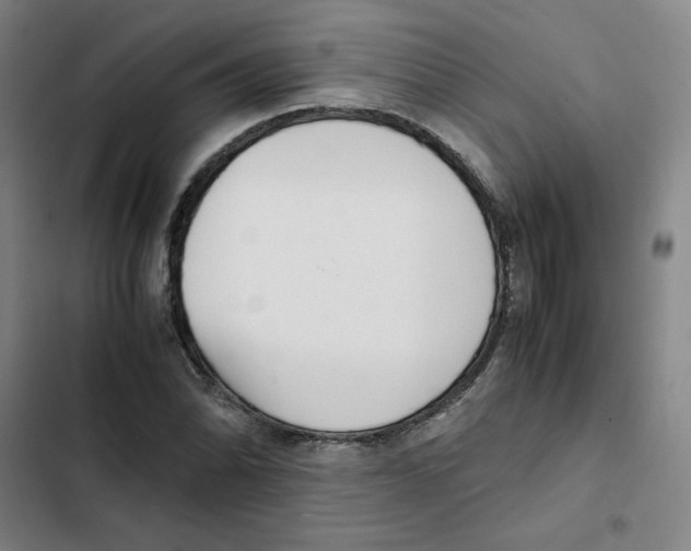 X0000102371070200808291243