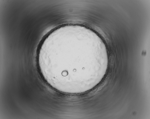 X0000102371071200808291243
