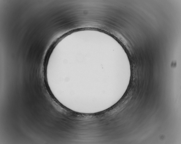 X0000102371072200808291243
