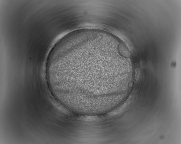 X0000102371074200808291243