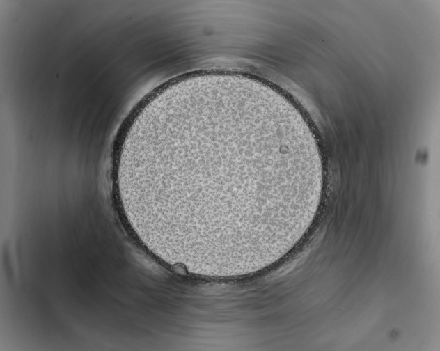 X0000102371075200808291243