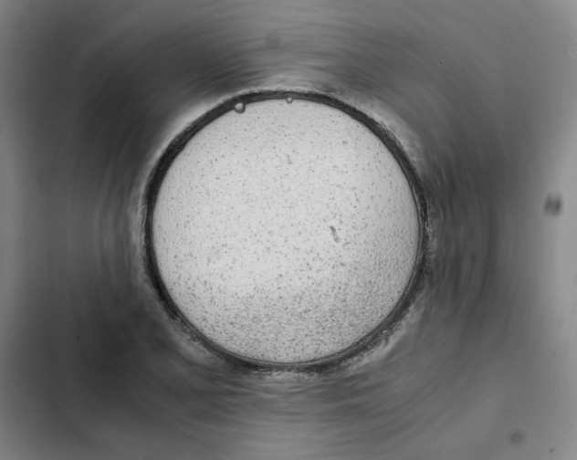 X0000102371077200808291243