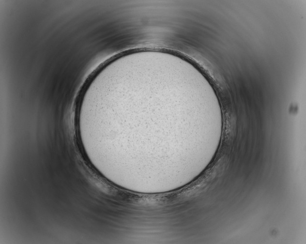 X0000102371078200808291243