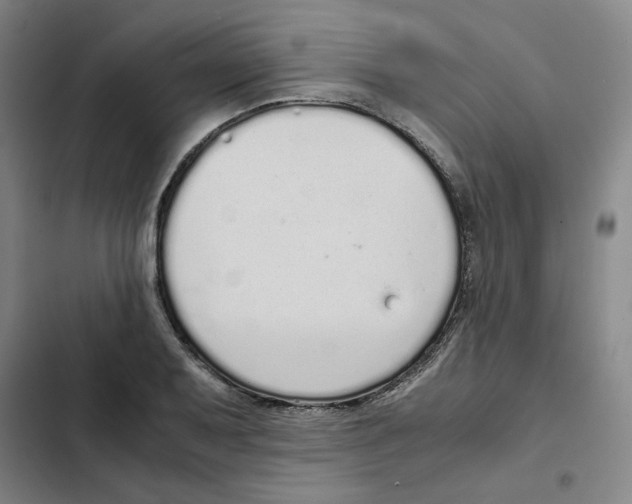X0000102371079200808291243