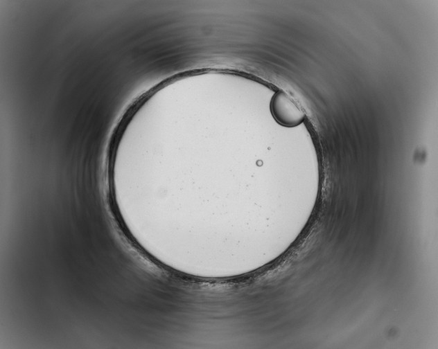 X0000102371080200808291243