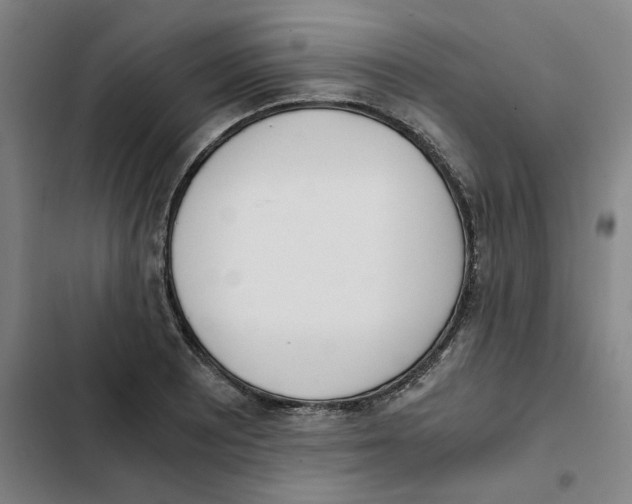 X0000102371081200808291243