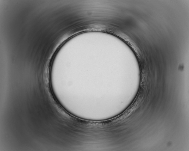X0000102371083200808291243