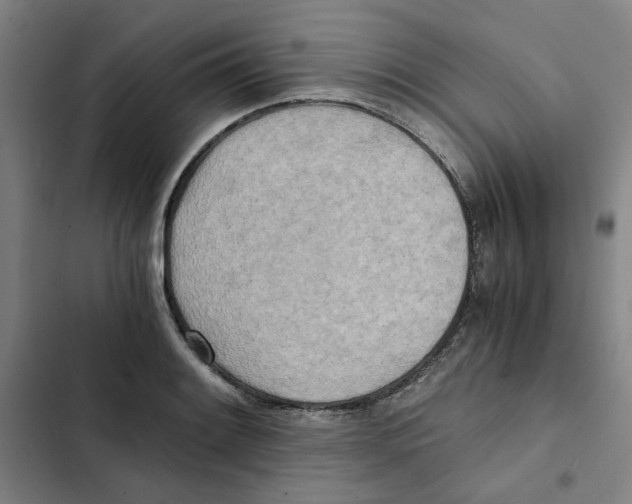 X0000102371084200808291243