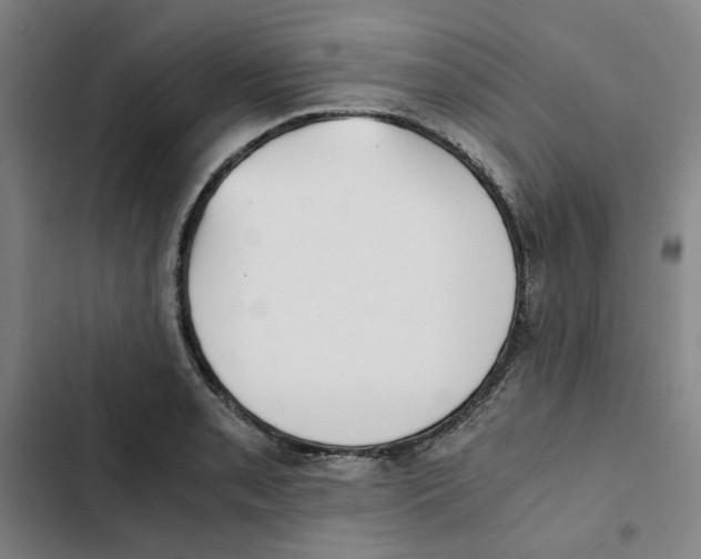 X0000102371085200808291243