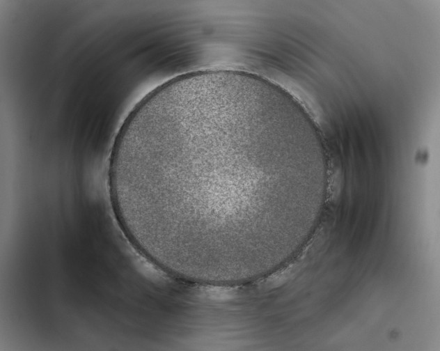 X0000102371086200808291243