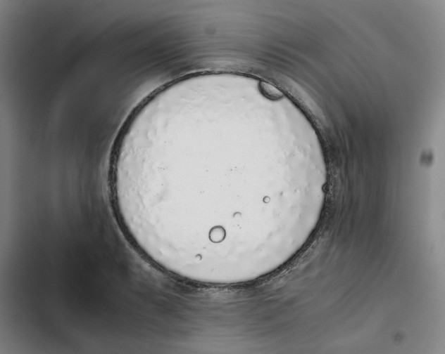 X0000102371087200808291243