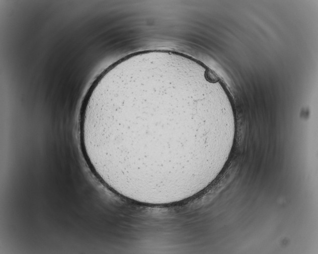 X0000102371088200808291243