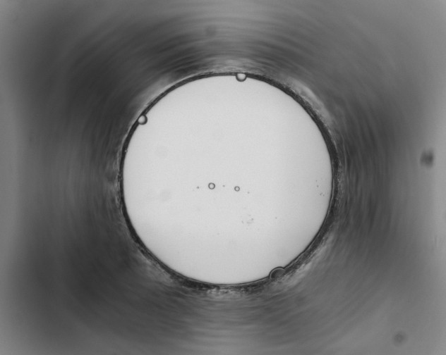 X0000102371089200808291243