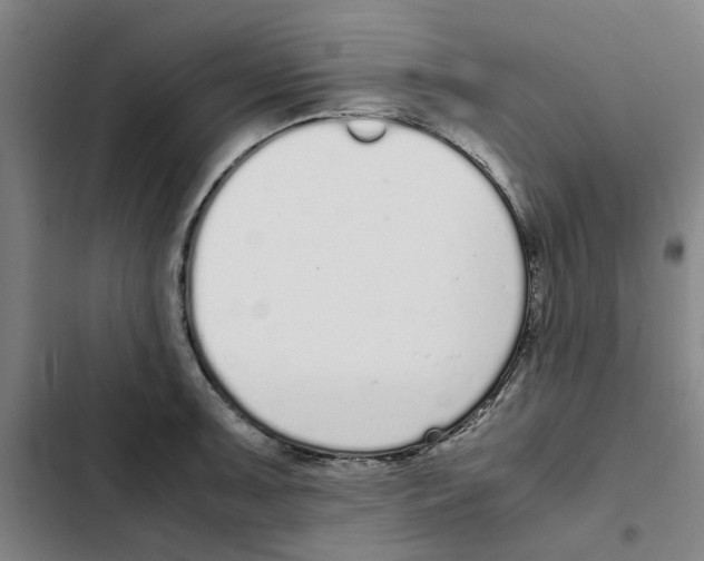 X0000102371091200808291243