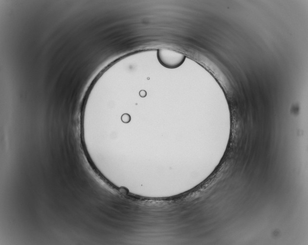 X0000102371092200808291243