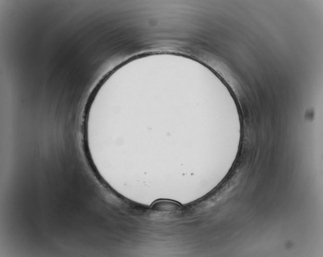 X0000102371093200808291243