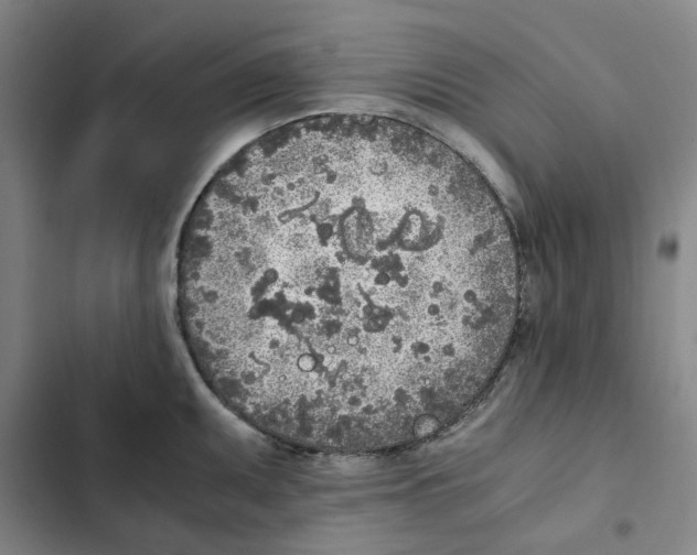 X0000102371095200808291243