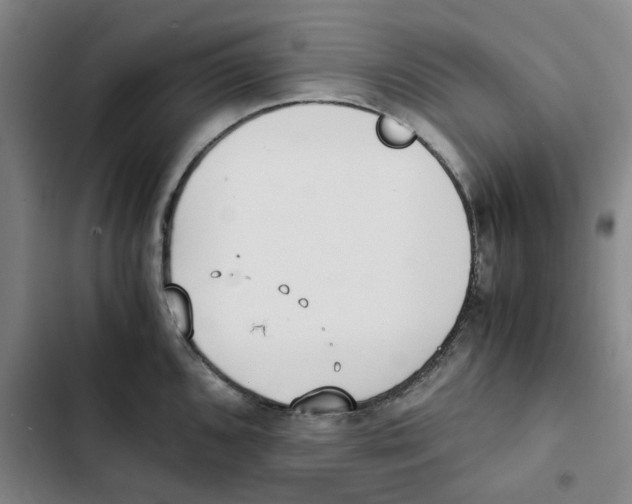 X0000102371096200808291243