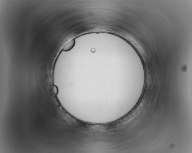 X0000102371097200808291243