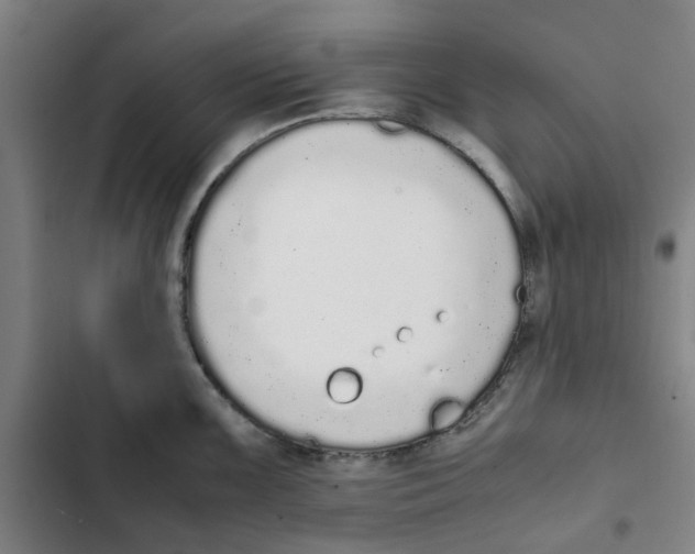 X0000102371099200808291243