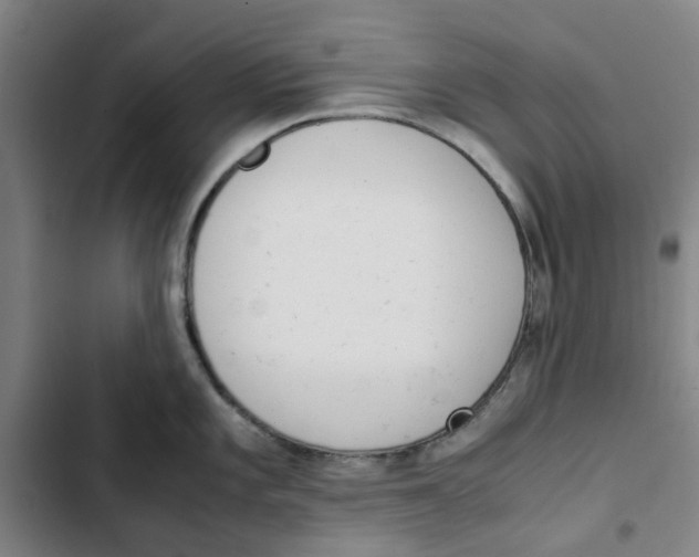 X0000102371101200808291243