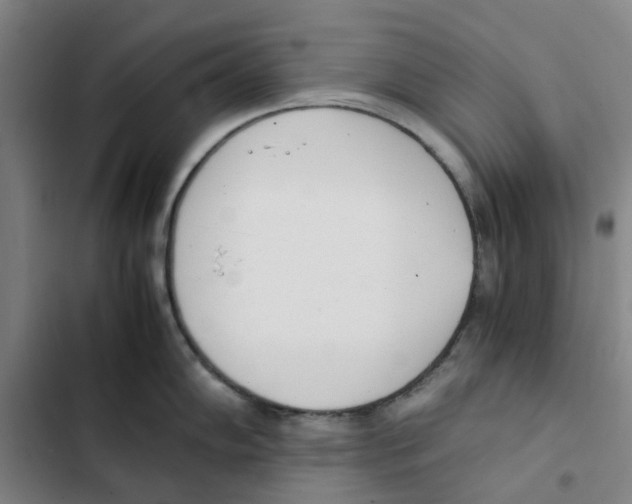 X0000102371102200808291243