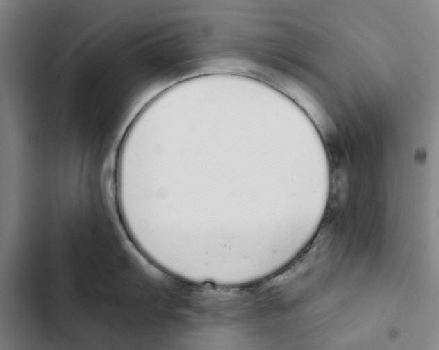 X0000102371103200808291243