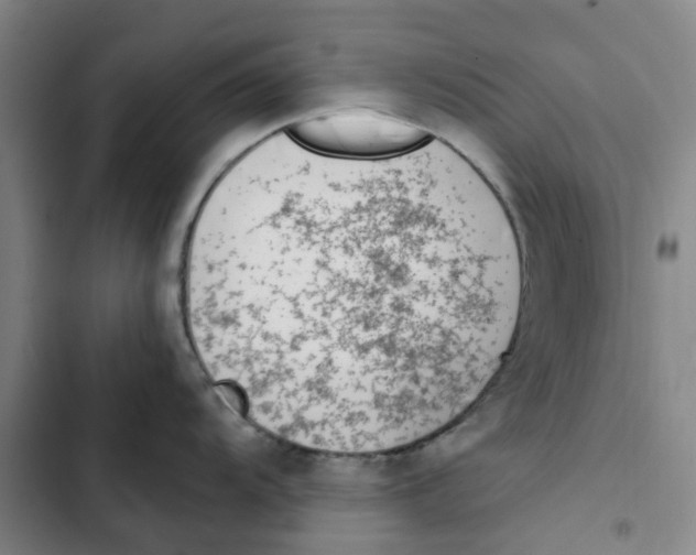 X0000102371104200808291243