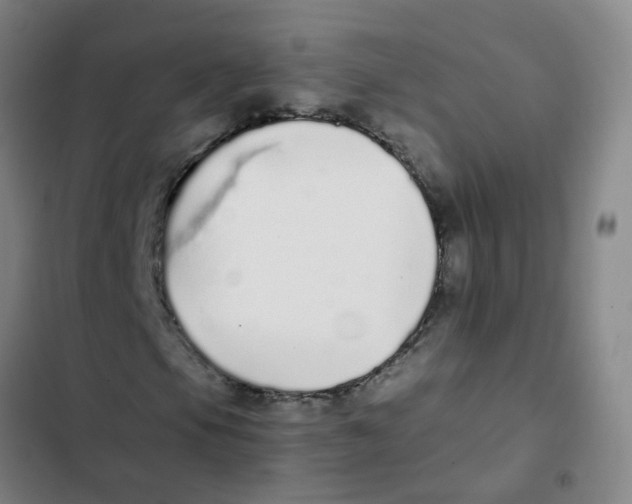 X0000102371105200808291242