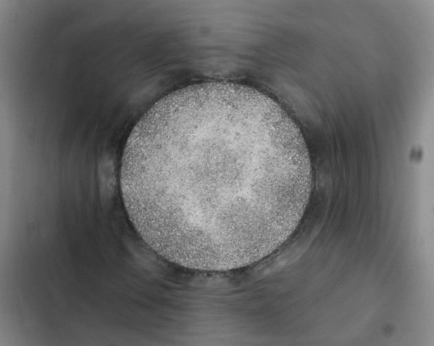 X0000102371106200808291242