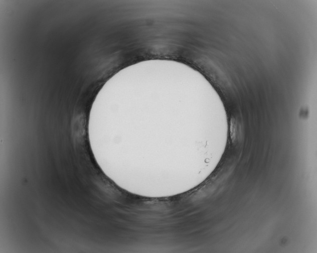 X0000102371107200808291242