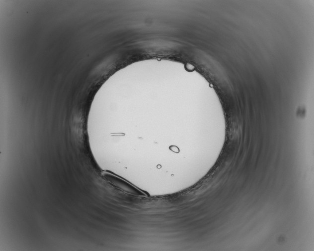 X0000102371108200808291242