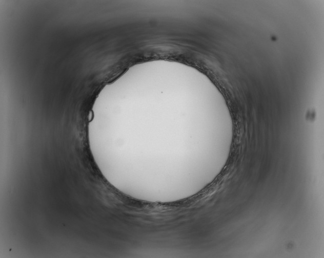 X0000102371109200808291242