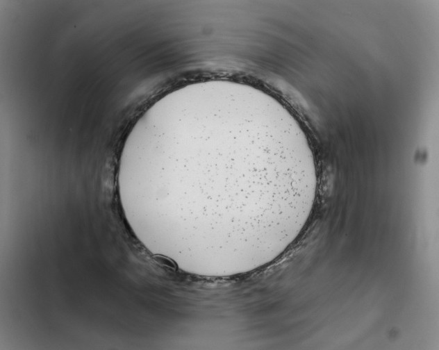 X0000102371110200808291242