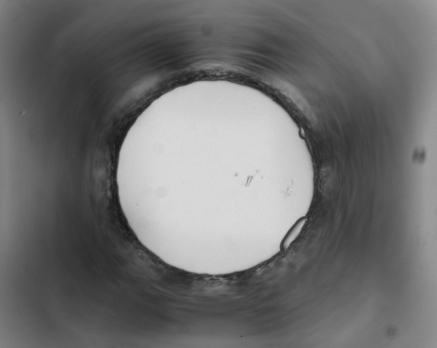 X0000102371111200808291242