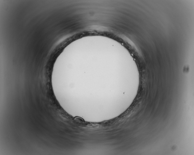 X0000102371112200808291242