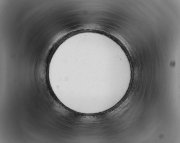X0000102371115200808291242