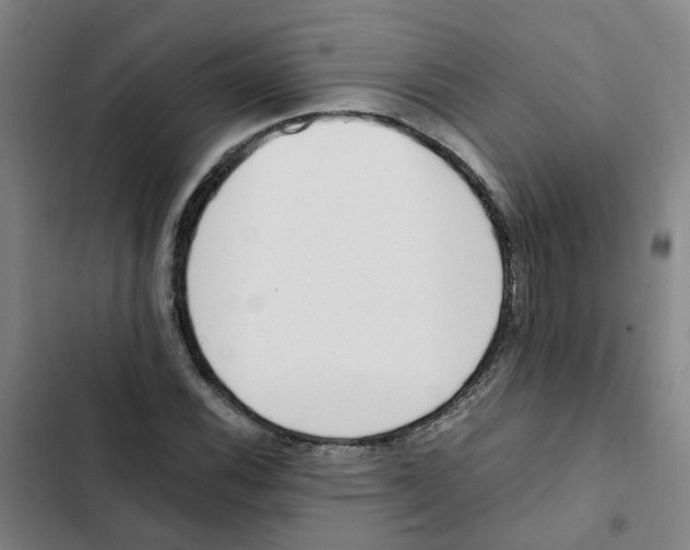 X0000102371116200808291242