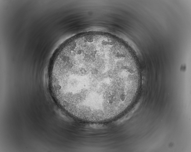 X0000102371117200808291242