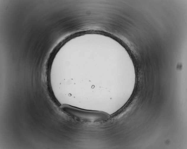 X0000102371118200808291242