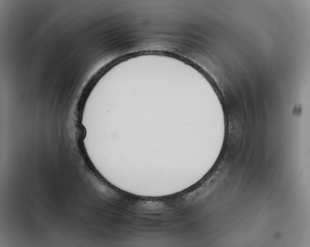 X0000102371119200808291242