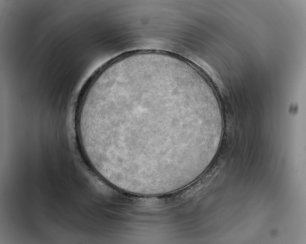X0000102371120200808291242