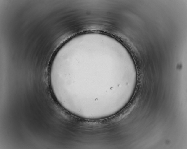 X0000102371121200808291242