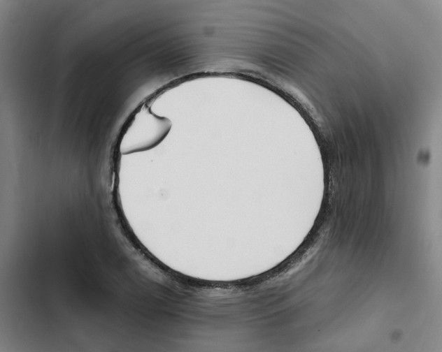 X0000102371122200808291242