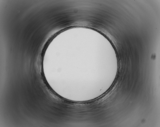 X0000102371123200808291242