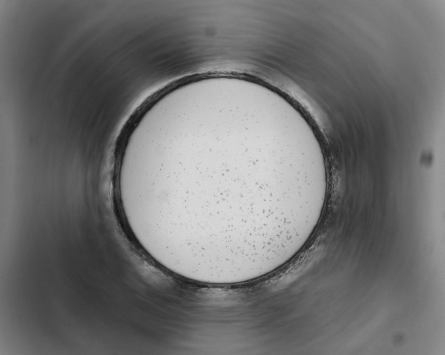 X0000102371124200808291242